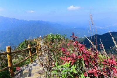 派阳山森林公园