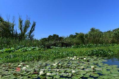 千湖国家湿地公园