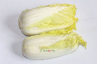 黄芽白菜