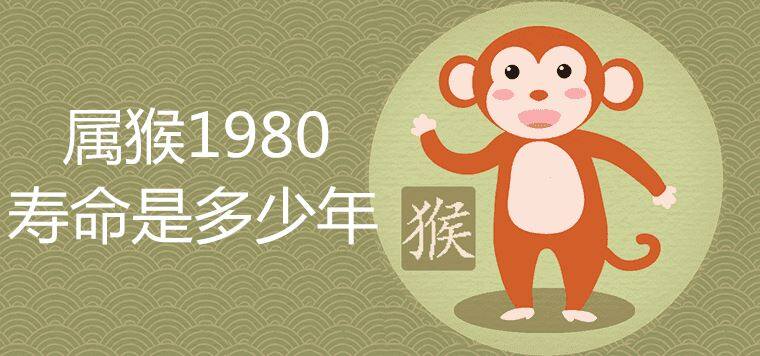 属猴1980寿命是多少年