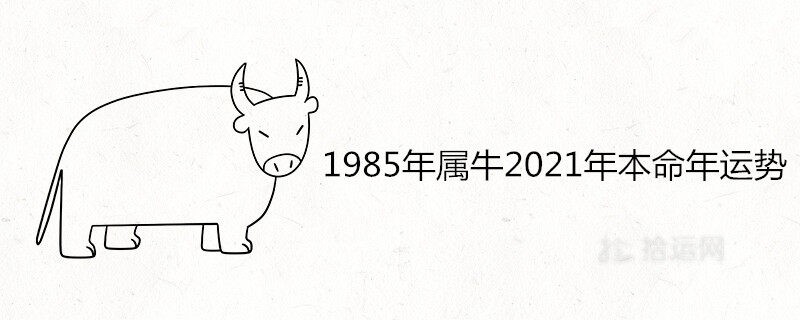 1985年属牛2023年本命年运势好不好